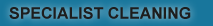 Specialist Cleaning